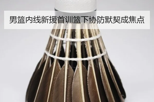 男篮内线新援首训篮下协防默契成焦点